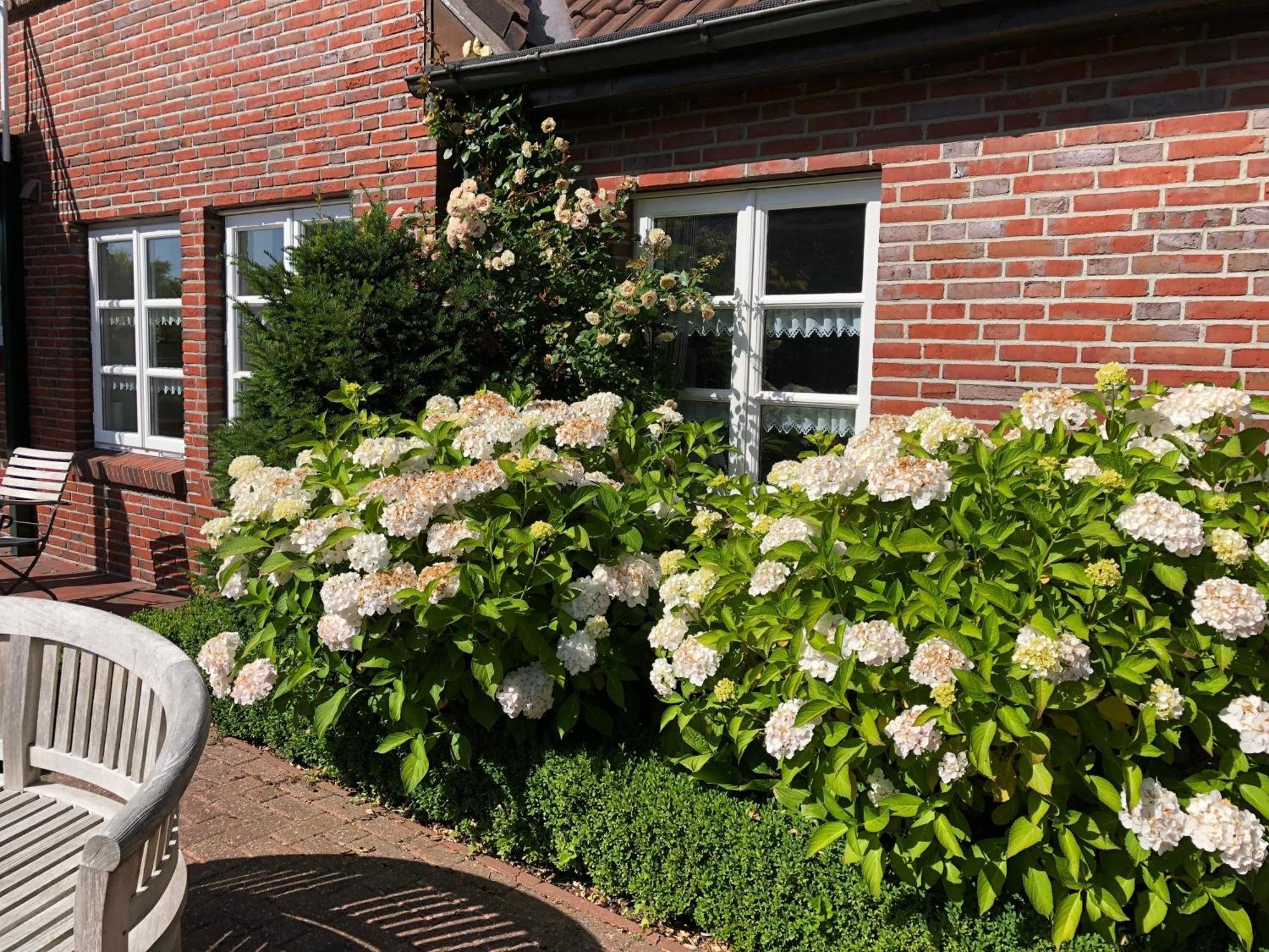 Landhaus Greetsiel Am Hafen "Meeresbrise" ครุมเฮิร์น ภายนอก รูปภาพ
